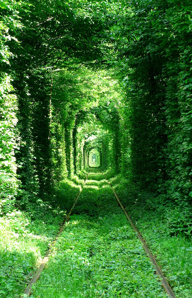 Tunnel of Love in Ukraine