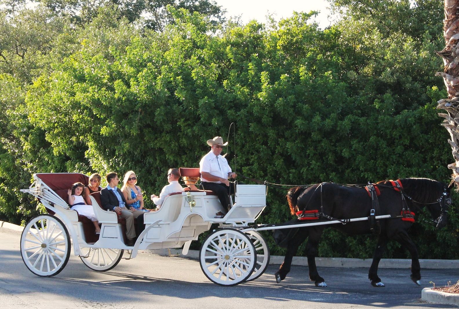 VIP Central Park Tours