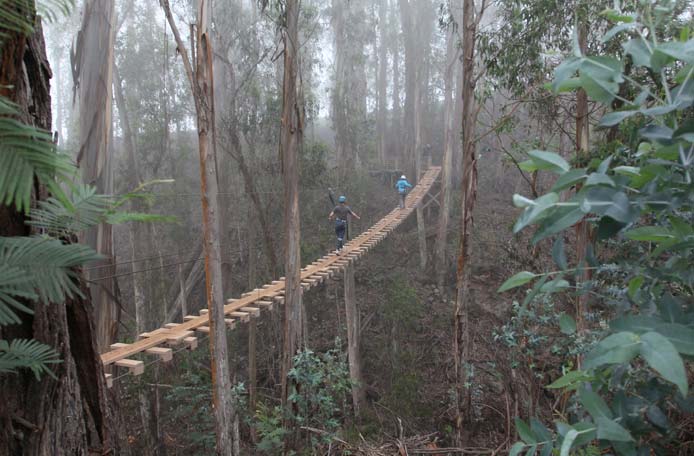 Haleakala Maui Zip Line Tours
