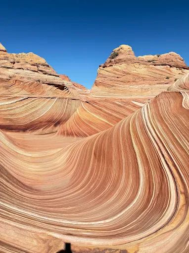 The Wave