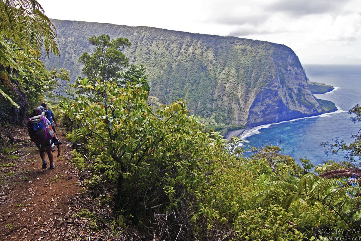 Muliwai Trail