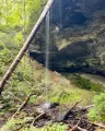 Picklesimer Rock House Falls Trailhead
