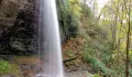 Douglas Falls Trailhead