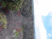 Emesine Cave Lava Tube