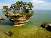turnip-rock