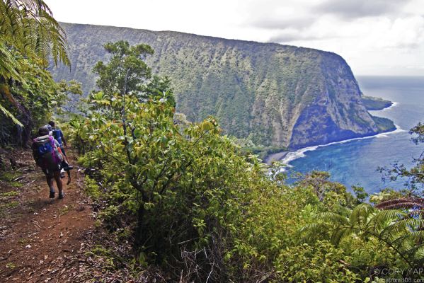 Muliwai Trail