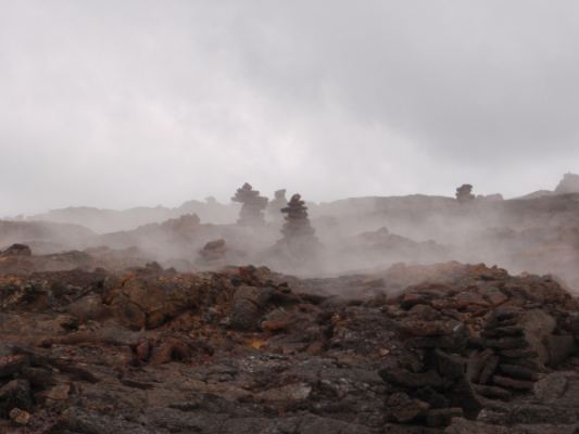 NĀPAU TRAIL